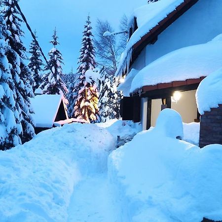 Uki & Sofi Mountain House Hotel Kopaonik Buitenkant foto