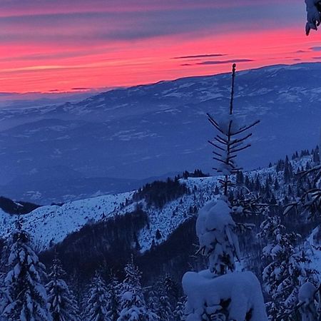 Uki & Sofi Mountain House Hotel Kopaonik Buitenkant foto