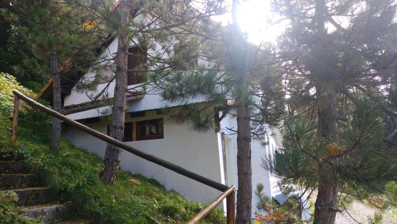Uki & Sofi Mountain House Hotel Kopaonik Buitenkant foto