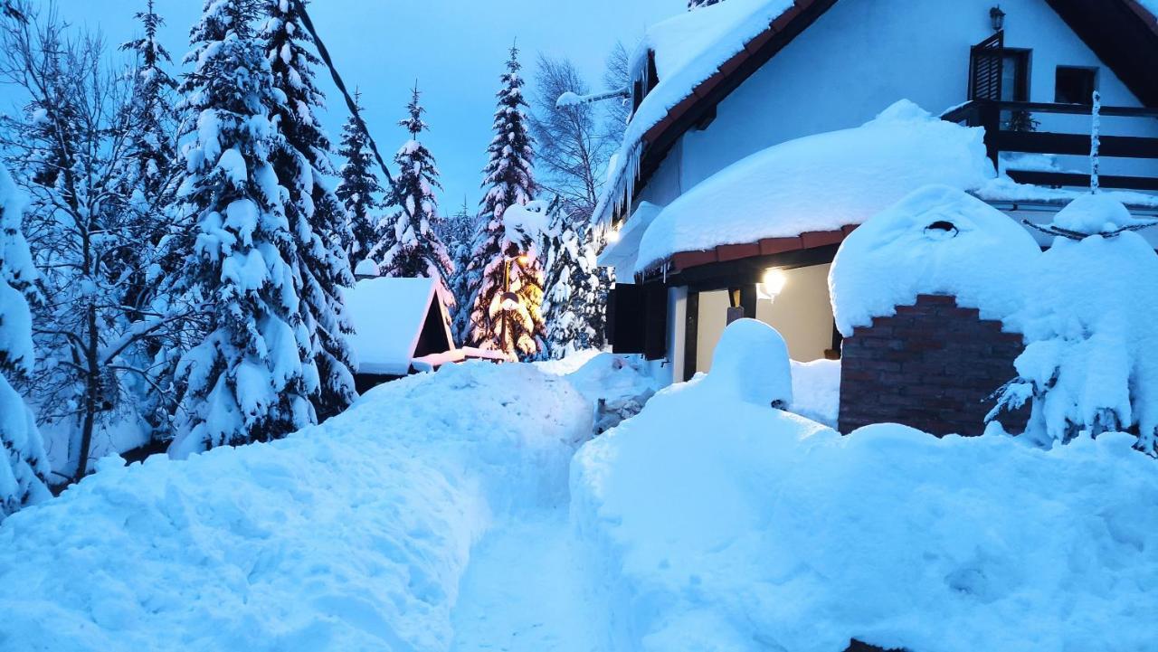 Uki & Sofi Mountain House Hotel Kopaonik Buitenkant foto