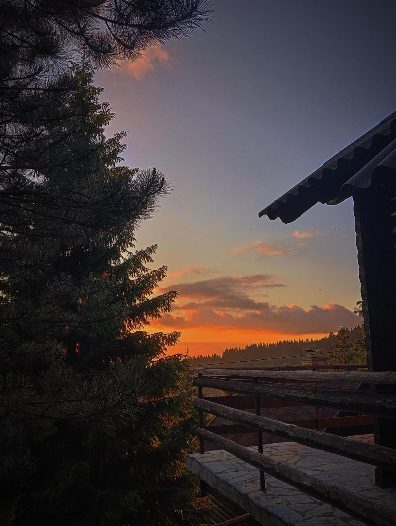 Uki & Sofi Mountain House Hotel Kopaonik Buitenkant foto