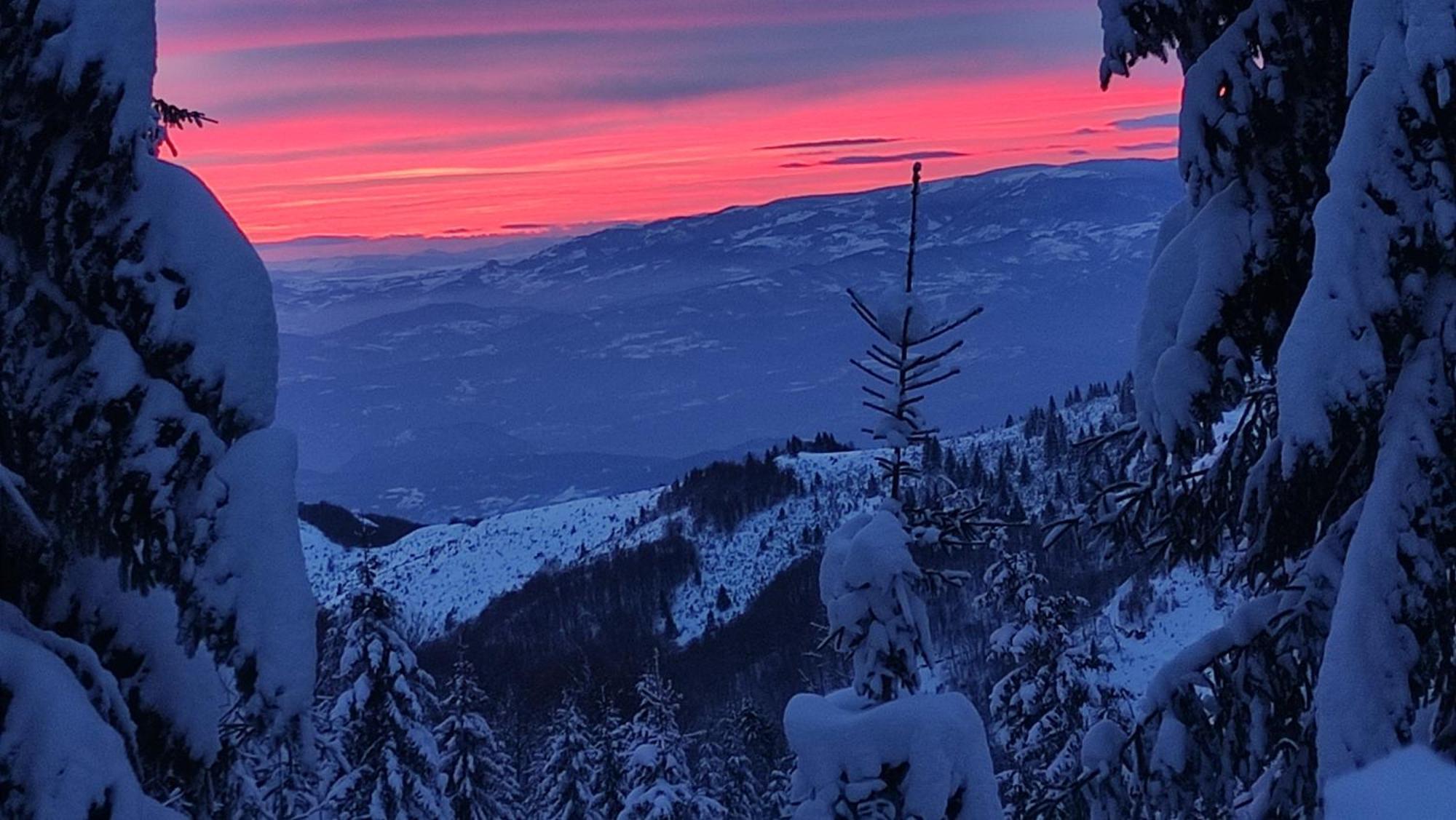 Uki & Sofi Mountain House Hotel Kopaonik Buitenkant foto