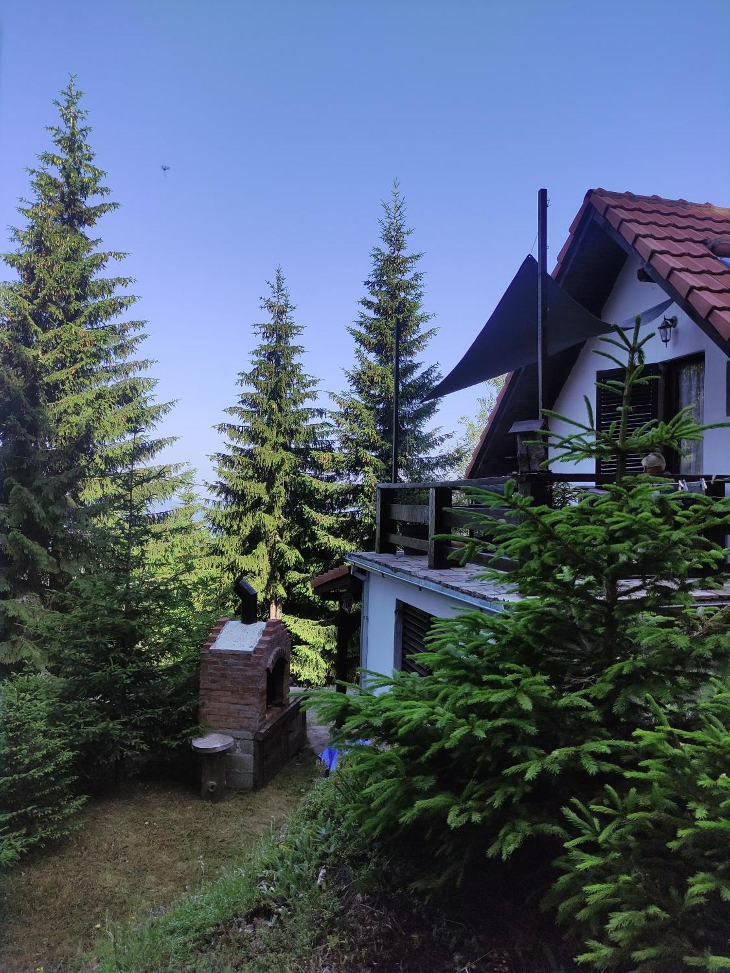 Uki & Sofi Mountain House Hotel Kopaonik Kamer foto