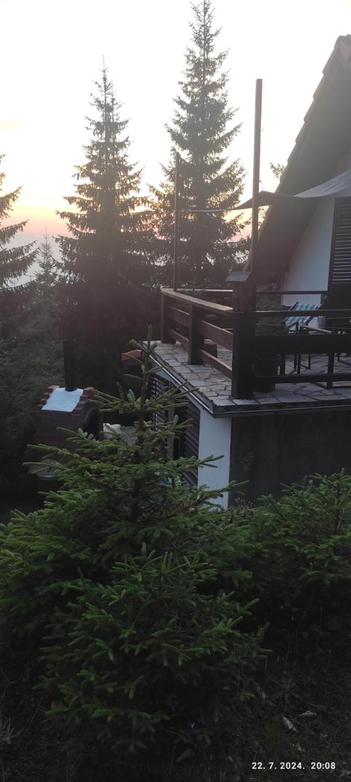 Uki & Sofi Mountain House Hotel Kopaonik Buitenkant foto