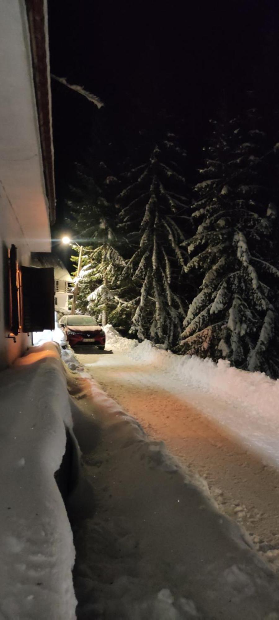 Uki & Sofi Mountain House Hotel Kopaonik Buitenkant foto