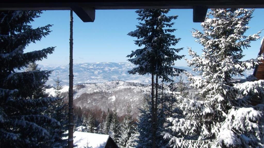 Uki & Sofi Mountain House Hotel Kopaonik Buitenkant foto